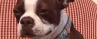 Crying emote for Discord