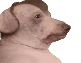 creature375 emote for Discord