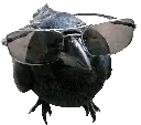 crowJAM emote for Discord