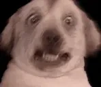 creatureEngagingInIntel emote for Discord