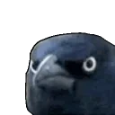 CrowClown emote for Discord