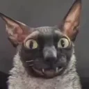 creamket emote for Discord