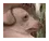 creatureSmaller emote for Discord
