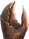 crabL emote for Discord