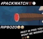 crocRIPBOZO emote for Discord