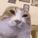 crug animated emote for Discord, Twitch and Slack