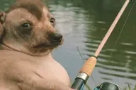 creatureFishing emote for Discord