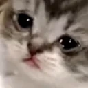 cri emote for Discord