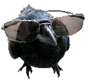 crowJam emote for Discord