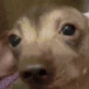 creatureSoConcerned emote for Discord