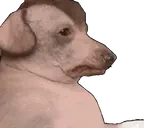 creature35 emote for Discord