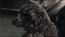 creatureB emote for Discord