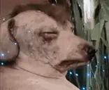 creaturePower emote for Discord