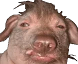 creatureCreature emote for Discord