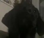 crunch emote for Discord