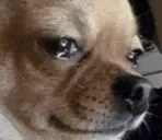 cry emote for Discord