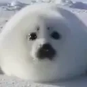 creature emote for Discord