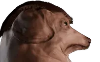 creature360 emote for Discord