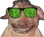 creatureGrasses emote for Discord