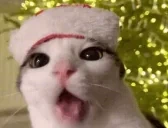 CRUNCHNY emote for Discord