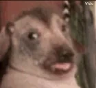 creatureSlop emote for Discord