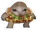 crunchwrapsupremecat emote for Discord