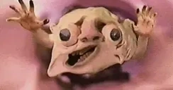 Crawl emote for Discord