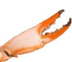 CrabR emote for Discord