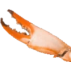 CrabL emote for Discord