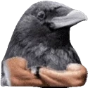 crowDisapprove emote for Discord