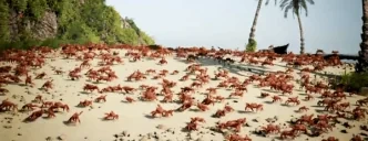 crabRave emote for Discord