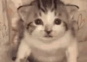 cringe emote for Discord