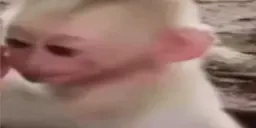 CRASHOUT emote for Discord