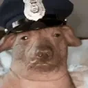 creaturePolice emote for Discord