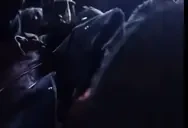 CRUSH emote for Discord