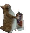 CatMilk emote for Discord