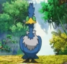 CramorantDance emote for Discord