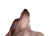creatureAwaken emote for Discord