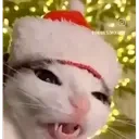 crunch emote for Discord