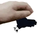 crowPets emote for Discord
