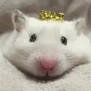 CrownRat emote for Discord