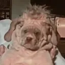 creatureAbomination emote for Discord