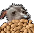 creatureEatingPeanuts emote for Discord