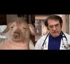 creatureDrNow emote for Discord