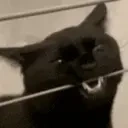 crunchy emote for Discord