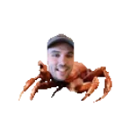 CRABPIPERDANCE emote for Discord