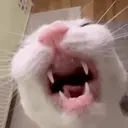 crunch emote for Discord