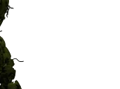 cripwalk emote for Discord