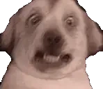 creatureEngagingInIntel emote for Discord