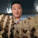 Crocosheyts emote for Discord